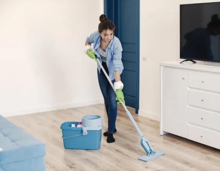 Femme de ménage Gouts
